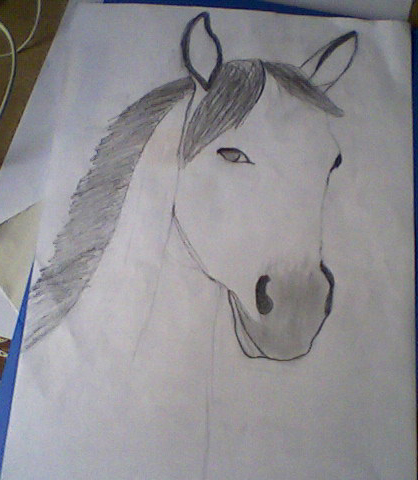 Koník na kterého jsem hrdá